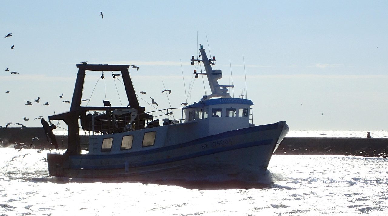 Yon trawler lapèch endistriyèl k ap rale pwason li