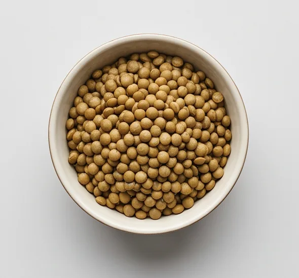 ምስር